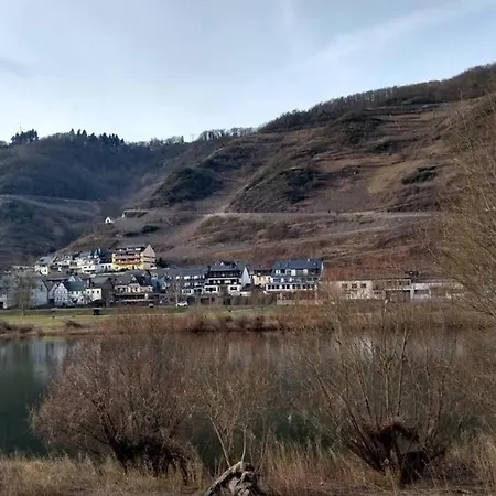 4 Persoons Luxe Vakantiewoning Bij De Moezel Ferienhaus Ediger-Eller